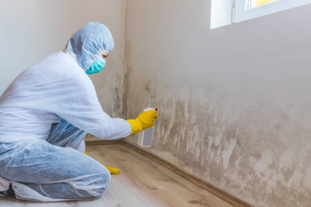 Hvac And Air Duct Mold Remediation inspection of HVAC system in Red Feather Lakes